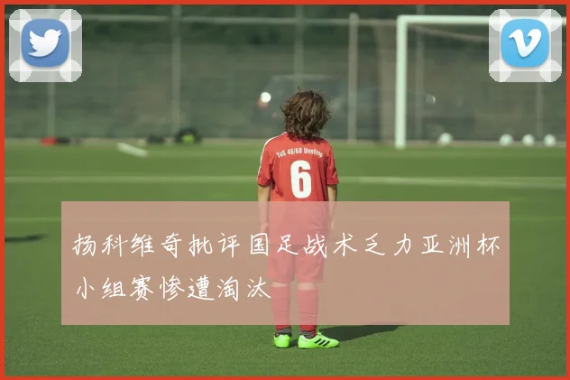 扬科维奇批评国足战术乏力亚洲杯小组赛惨遭淘汰
